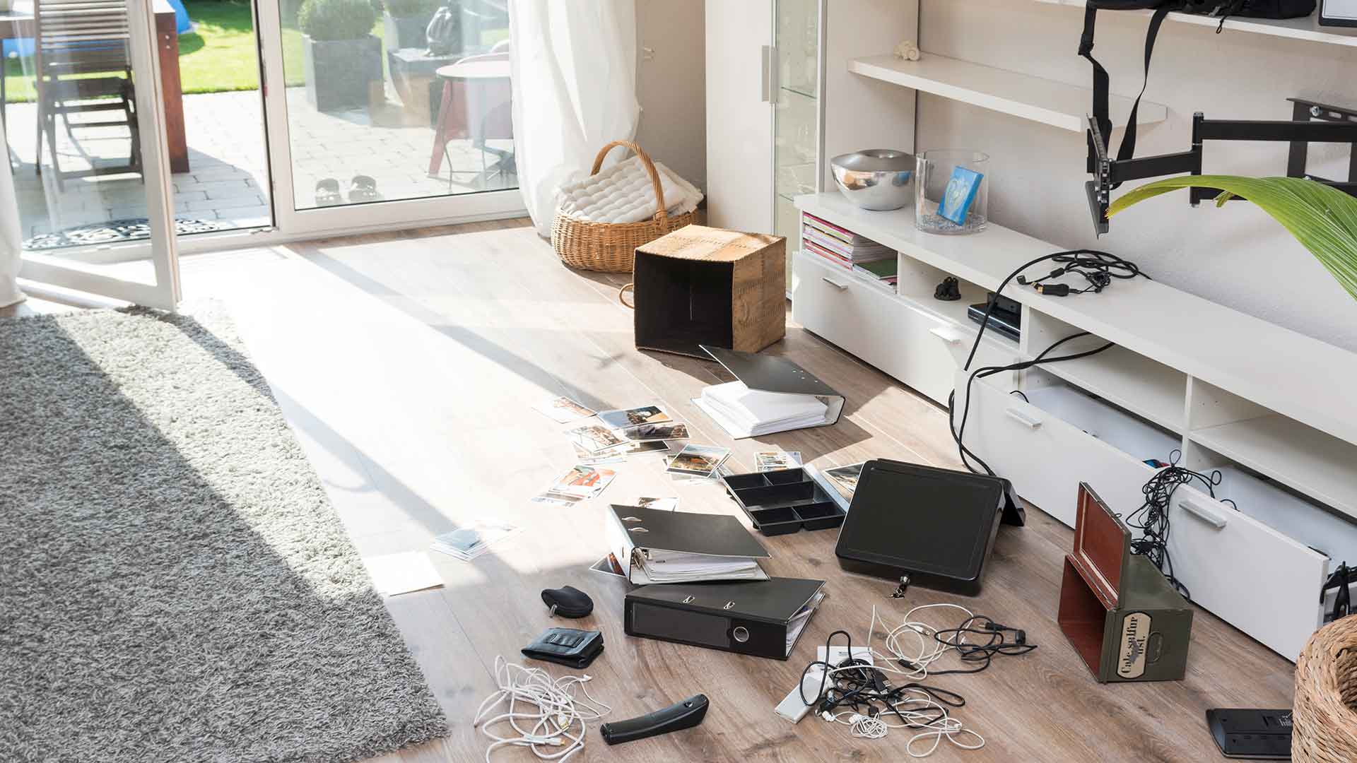 Budgie Safety at Home: Open Windows, Cables, and Other Hazards