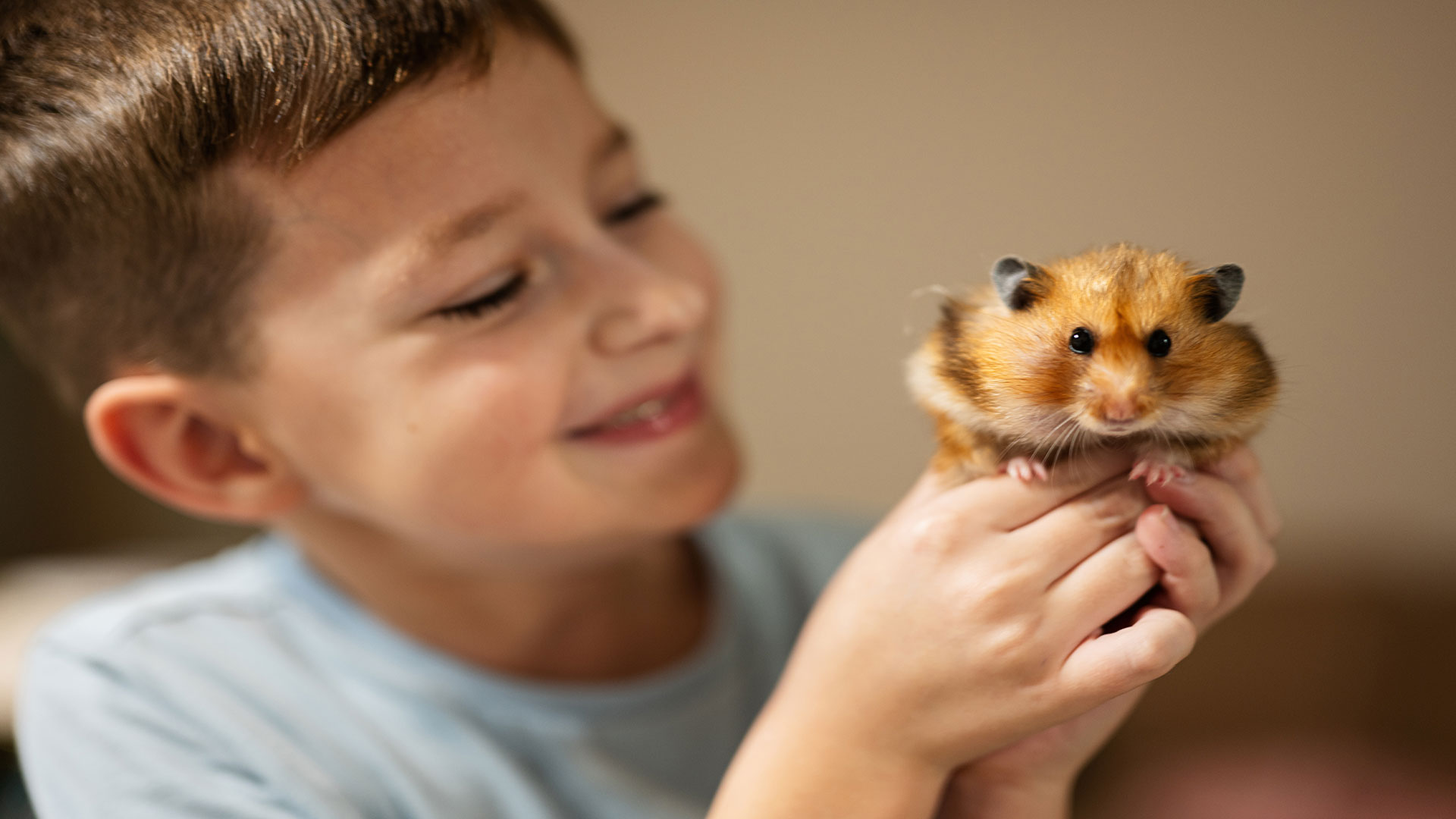 Which Rodents Are Suitable for Homes with Children? Recommendations and Warnings