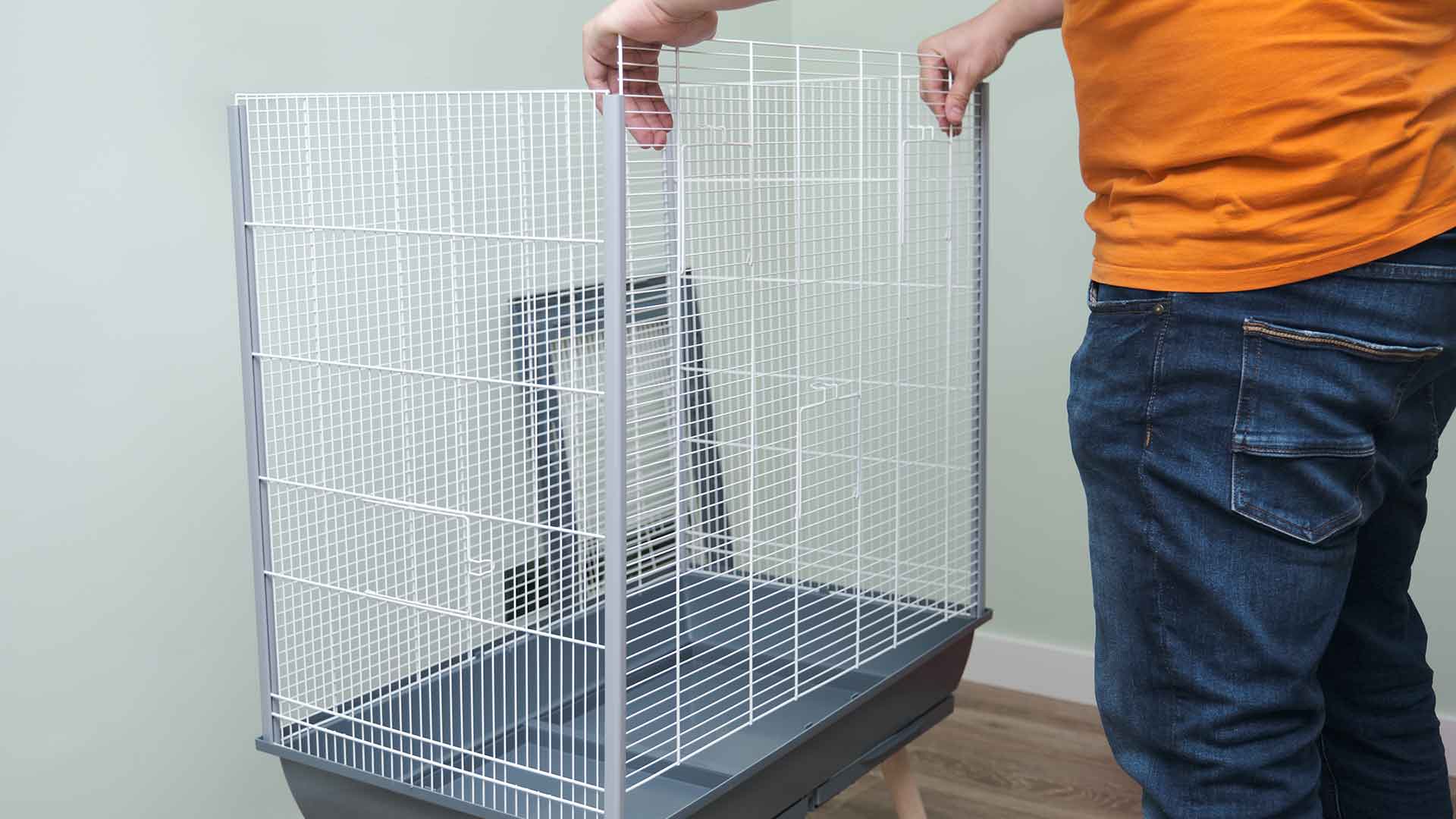 Litter Trays and Easy-to-Clean Flooring Materials for Parrots