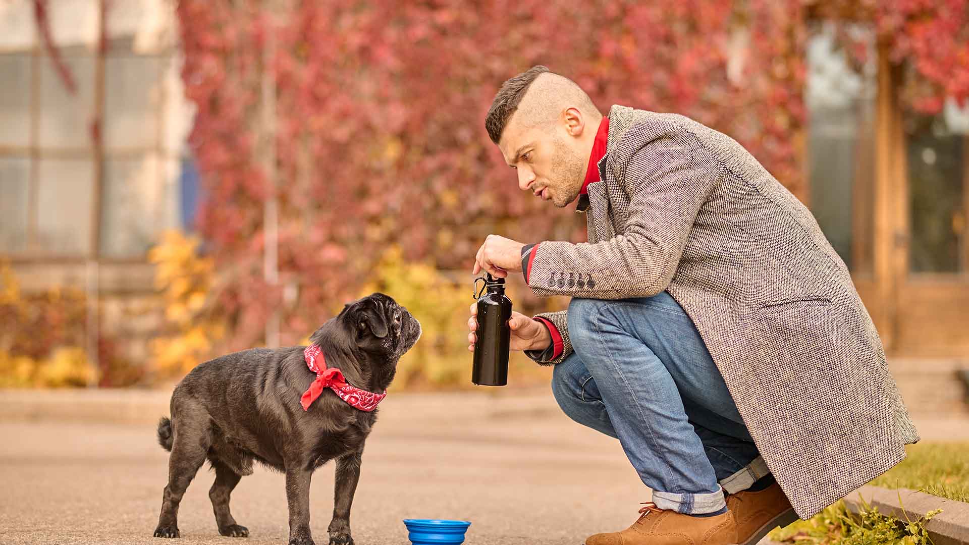 What to Consider When Choosing Food and Water Bowls for Dogs?
