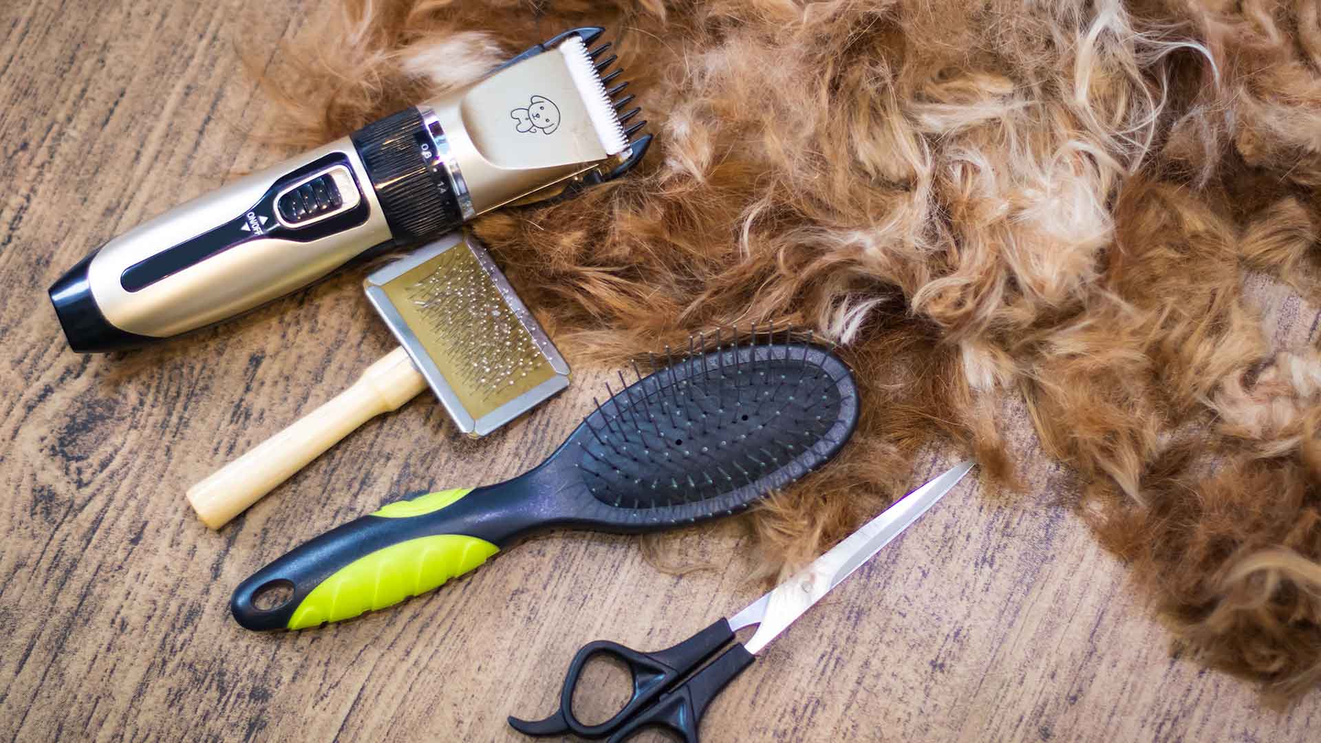 Cleaning Products and Equipment Used in Dog Care