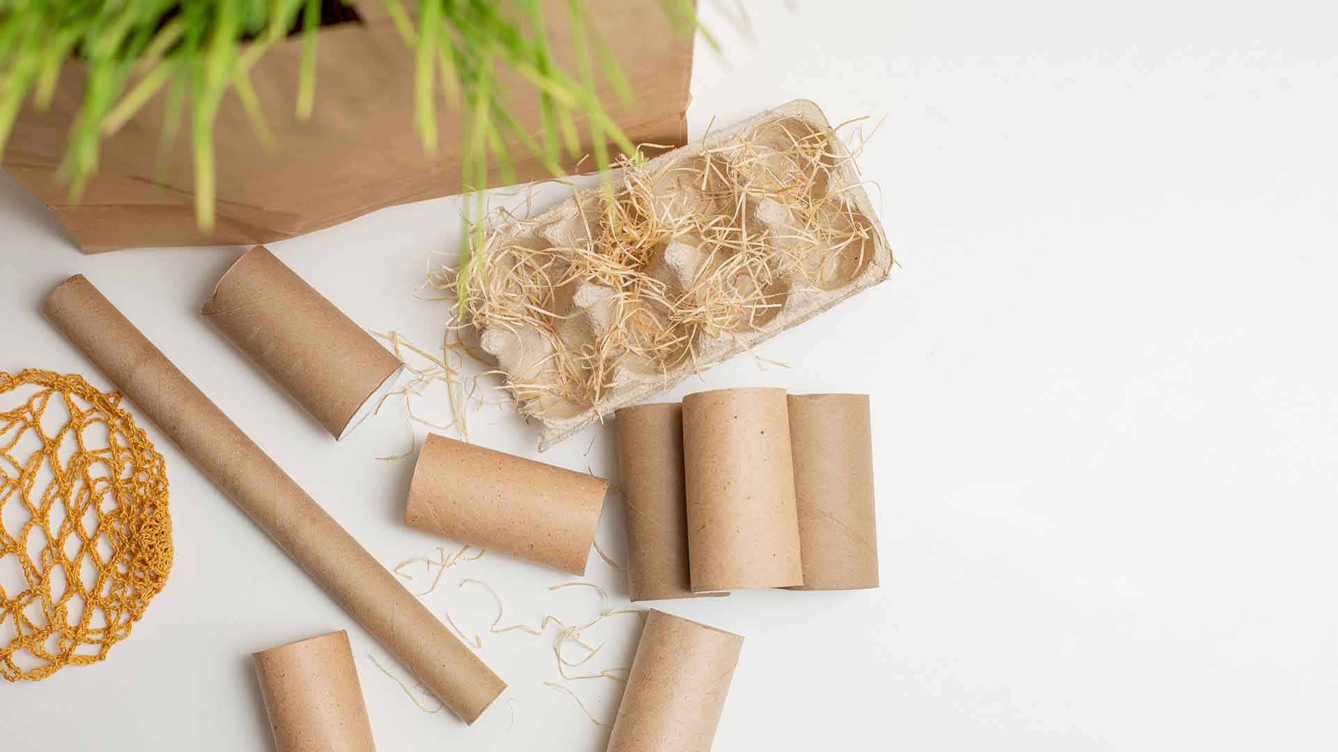 Homemade Natural Toys for Budgies