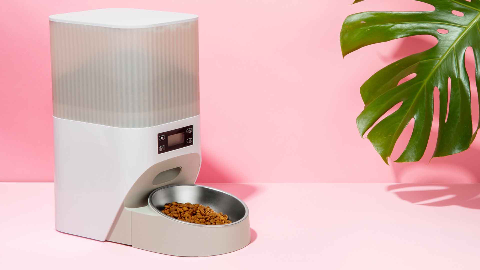 Cats and Technology: Smart Feeder, Water Fountain, Camera