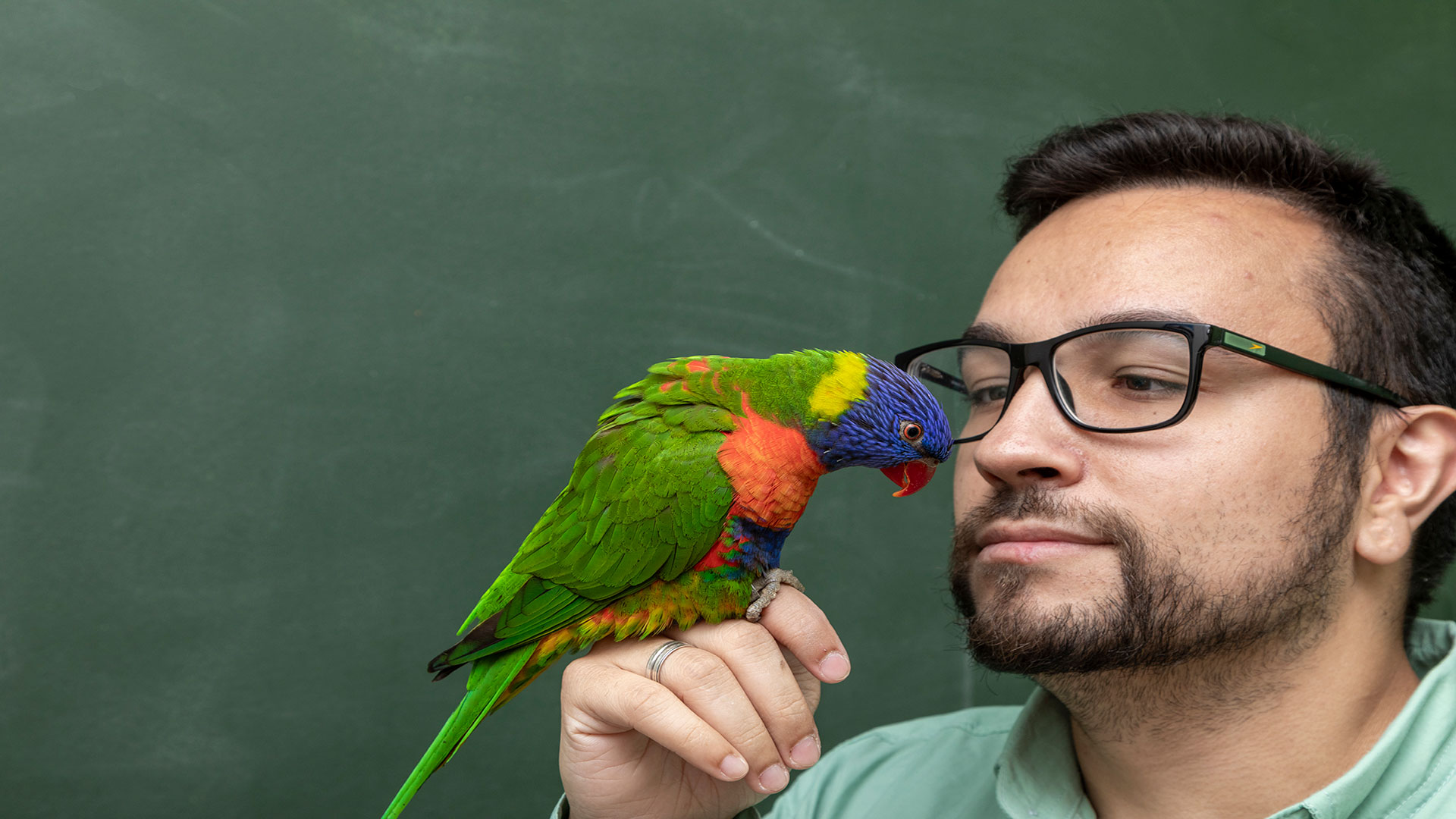 How Much Can Parrots Talk? Speech Capacity by Species and Training Methods