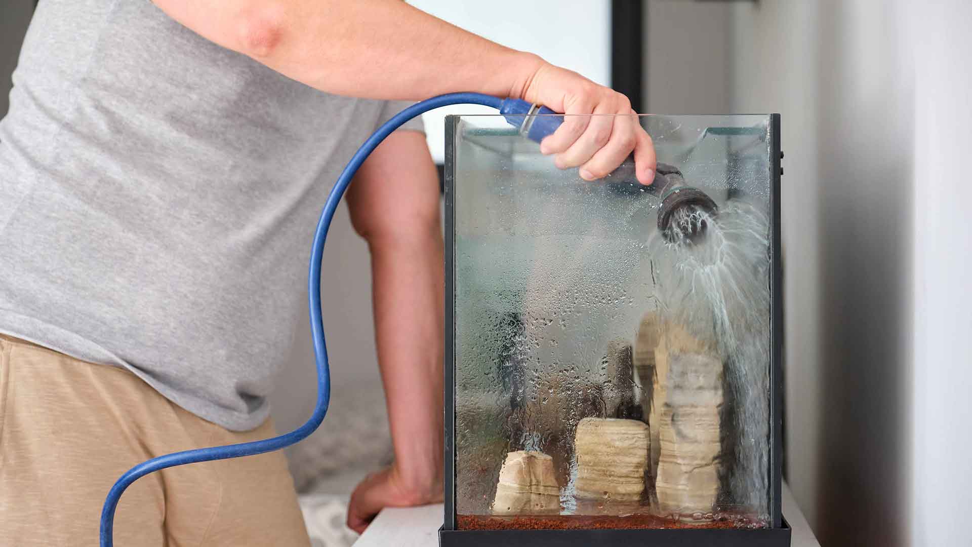 Aquarium Cleaning: How Often and How Should It Be Done?