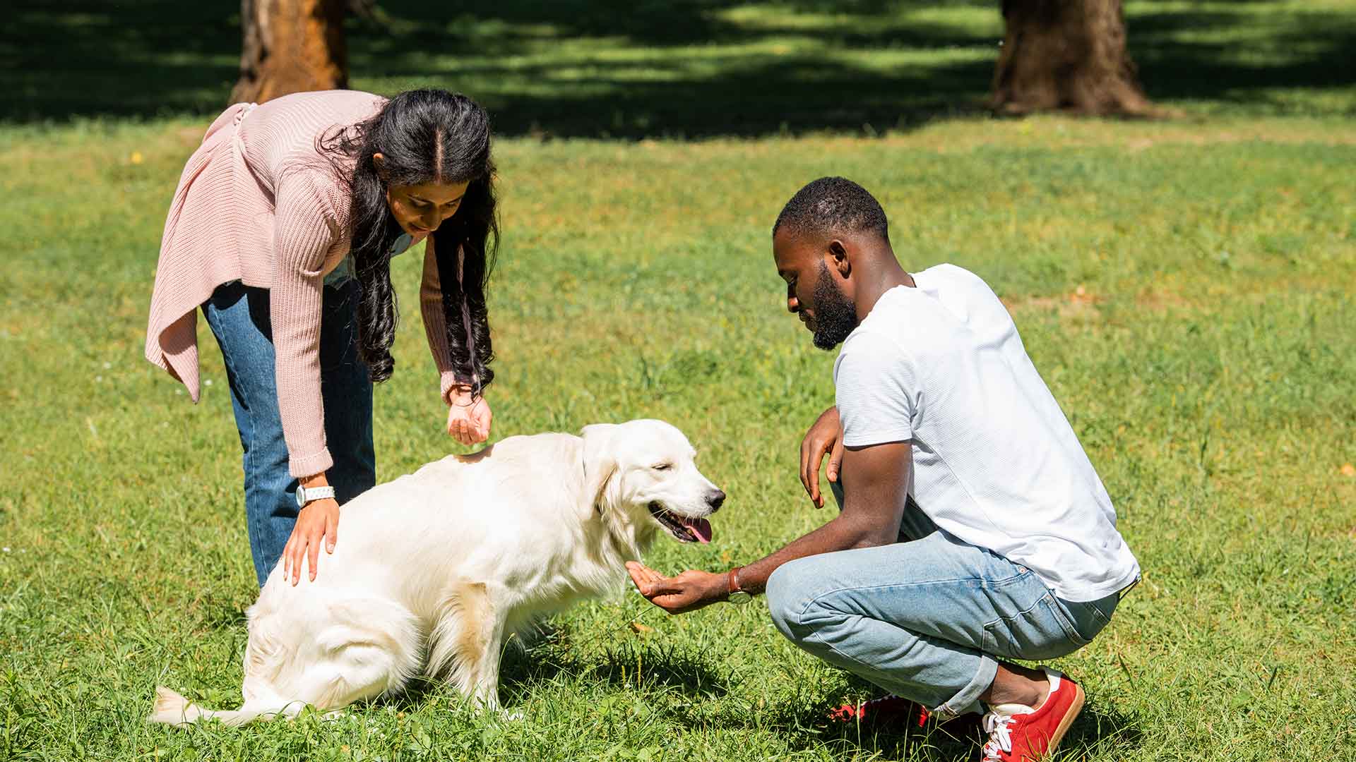 Ways to Build Healthy Communication with Your Dog