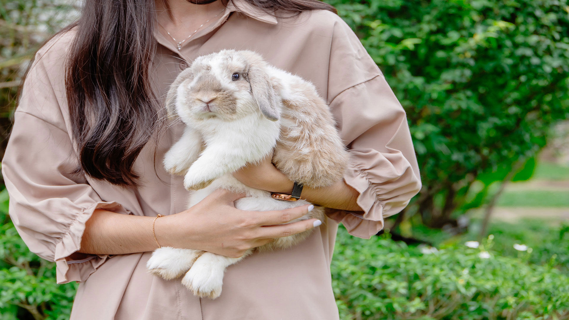From Rabbits to Hamsters: A Feeding Guide for Pet Rodents