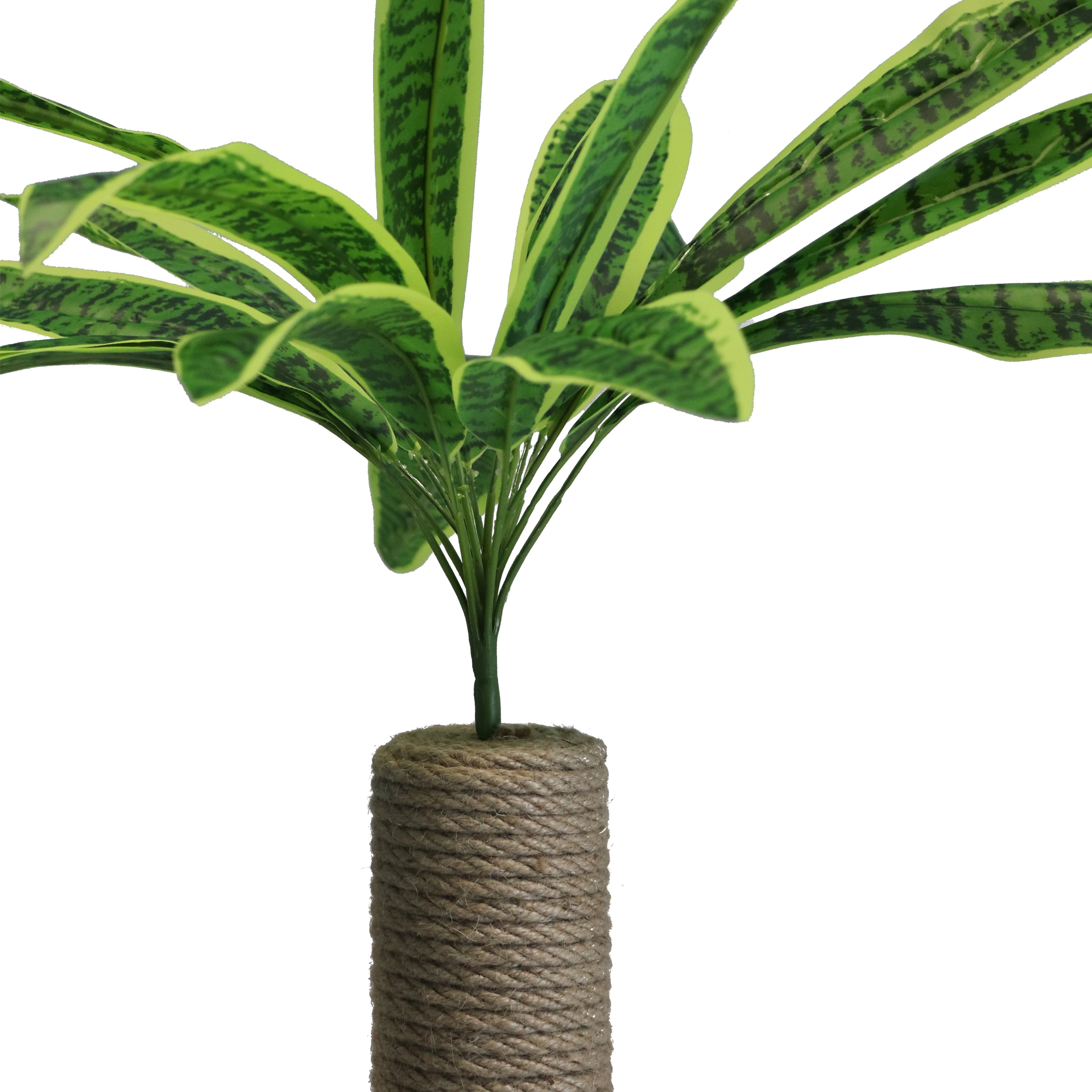  Petody - Lime Wooden Cat Scratching Post